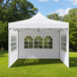 10 x 10 Canopy with Window Walls - Multicolor