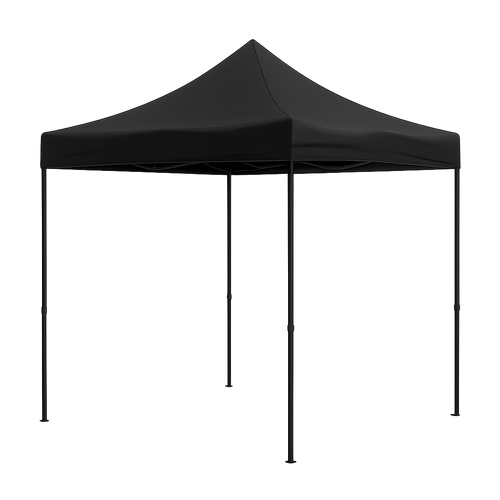 10 X 10 Feet Canopy