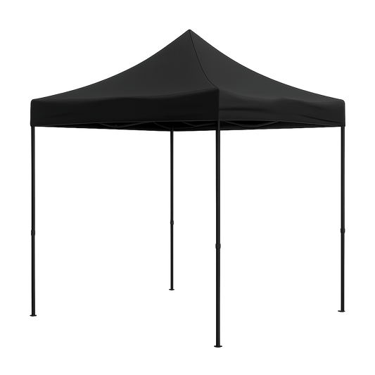 10 X 10 Feet  Basic Canopy