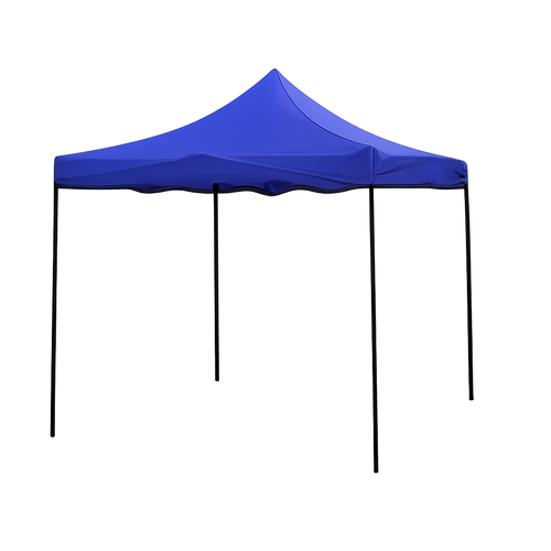 10 X 10 Feet Canopy