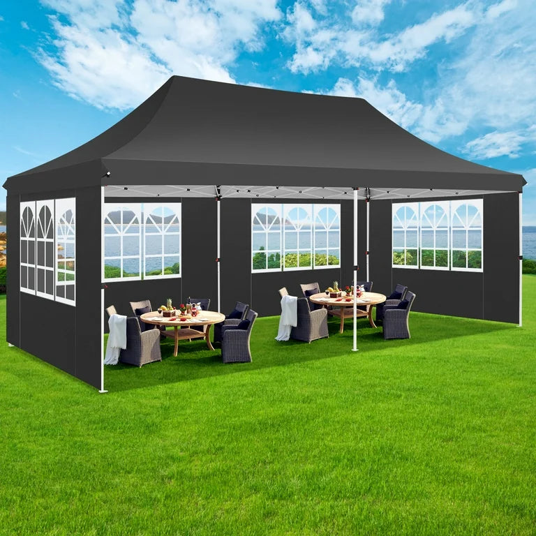 10 x 20 Feet Canopy with Window Walls 800D