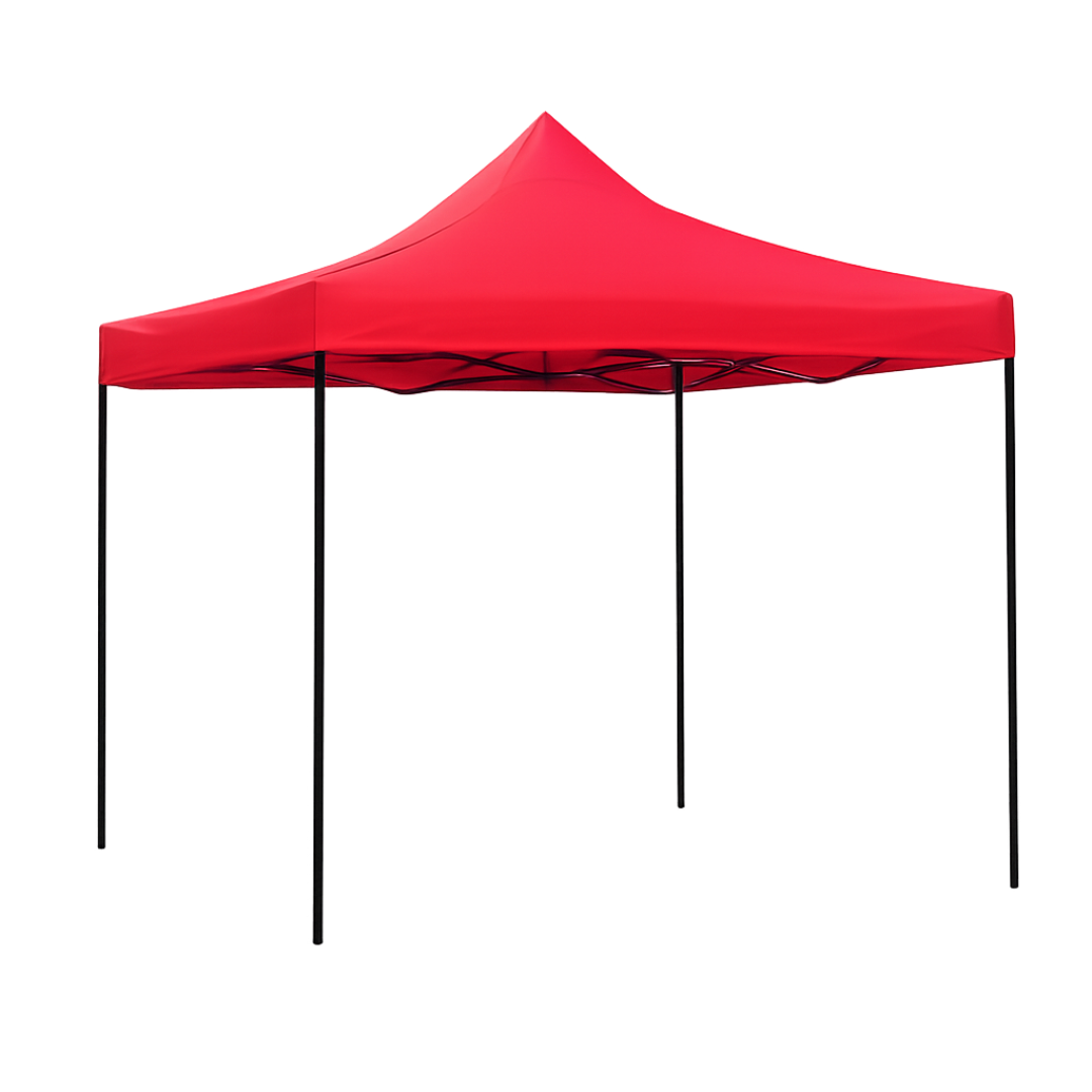 10 X 10 Feet  Basic Canopy